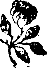 058/058930110001700_0.png