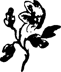 058/058930110001810_0.png