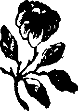058/058930110001960_0.png