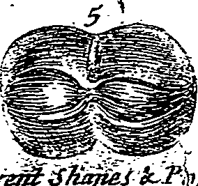 059/059050060000010_0.png