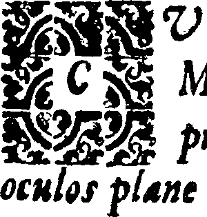 059/059070030000020_0.png