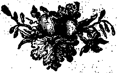 059/059220110001260_0.png