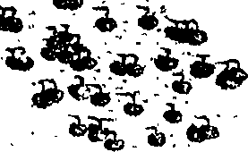 059/059270070000980_1.png
