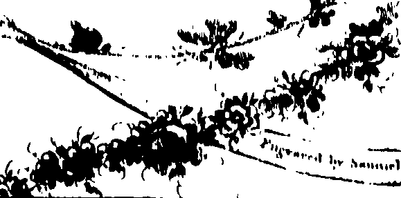 059/059270070001990_0.png