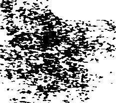 059/059270080100750_0.png