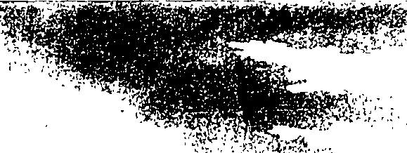 059/059270080200440_0.png