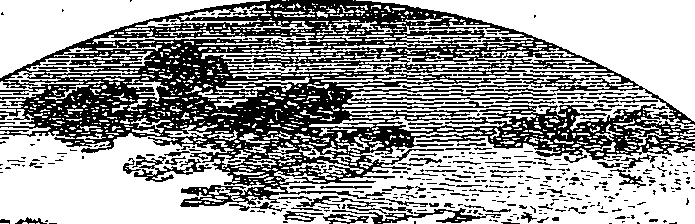 059/059280010100660_1.png