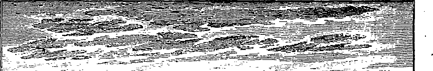 059/059280010202520_1.png