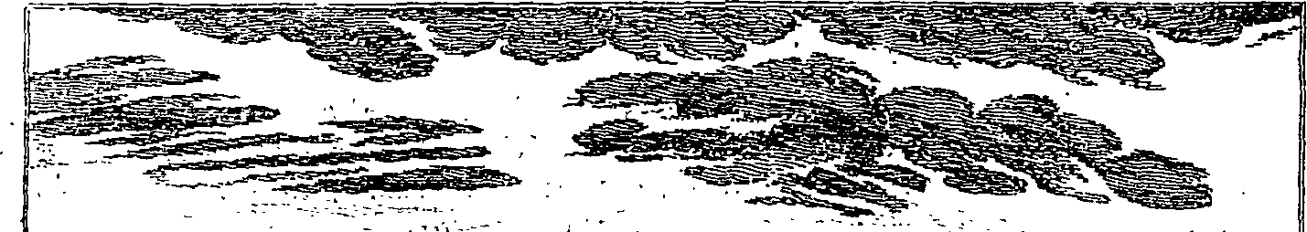 059/059280010204810_1.png