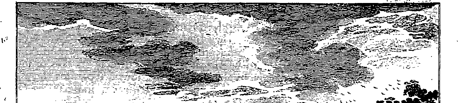 059/059280010204890_1.png