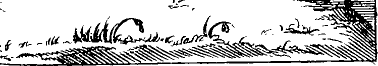 059/059320040001130_0.png