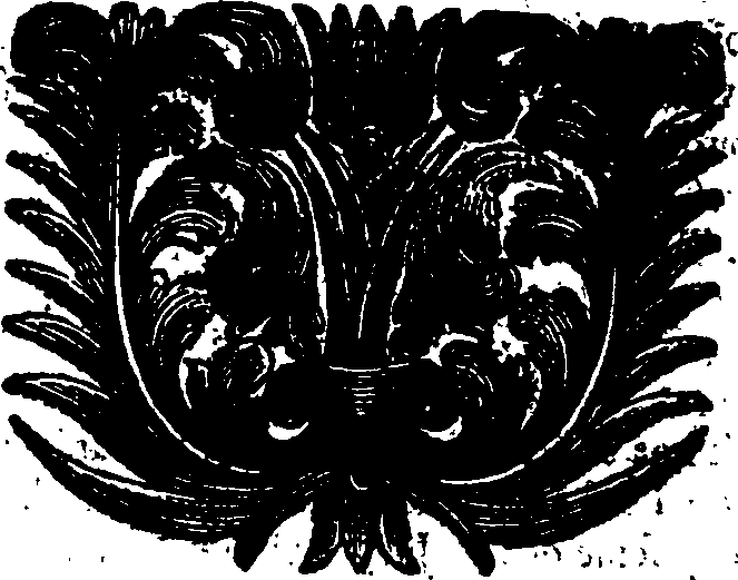 059/059520050203700_0.png