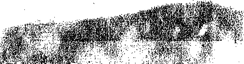 059/059580010204840_0.png