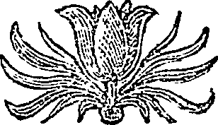 059/059580010502350_0.png
