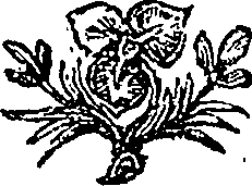 059/059580010604360_0.png