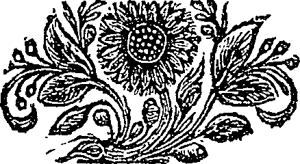 059/059580010604780_0.png