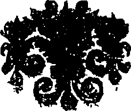 059/059590010802570_0.png
