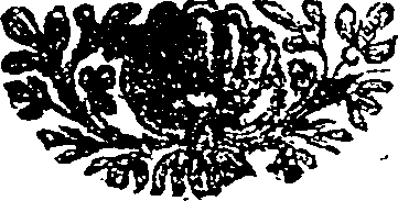 059/059590010802600_0.png