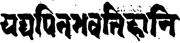 059/059660040000320_2.png