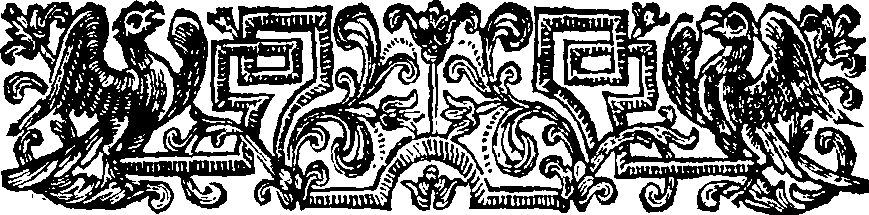 059/059890010101560_1.png
