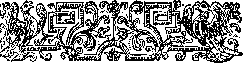 059/059890010303670_2.png