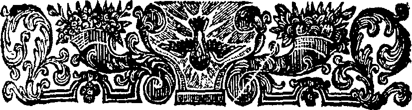 059/059890010401320_2.png