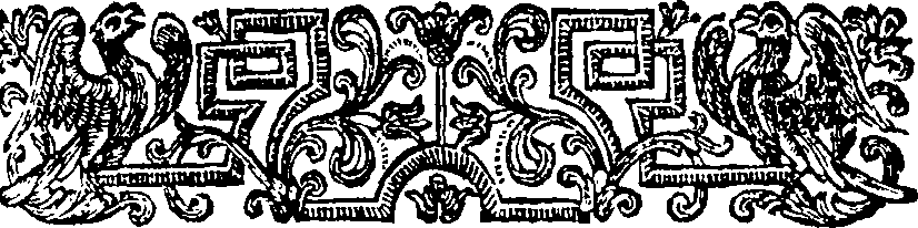 059/059890010402740_2.png