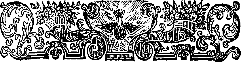 059/059890010502960_2.png