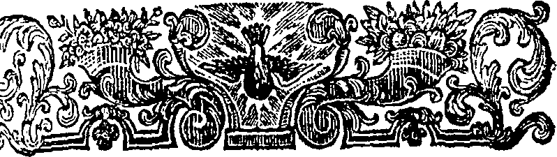 059/059890010601630_2.png