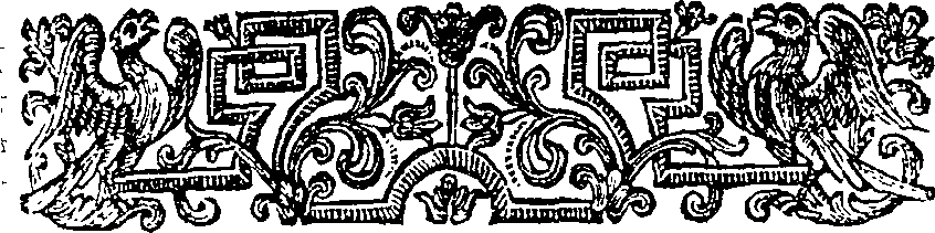 059/059900010702790_2.png