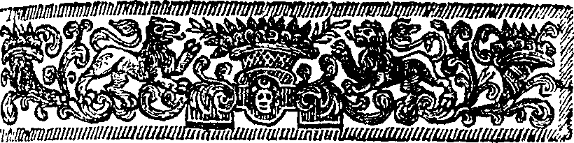 059/059900010702990_2.png