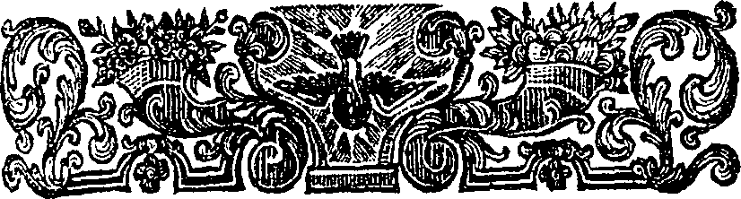 059/059900010703480_2.png