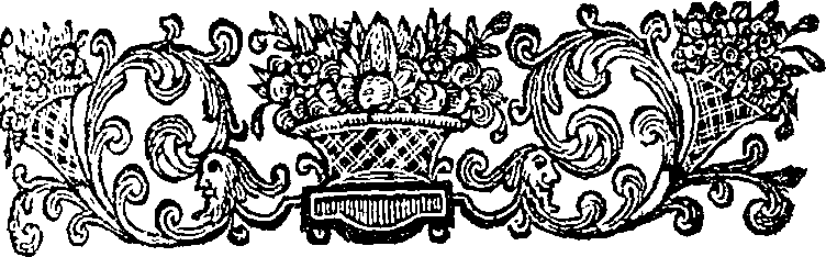 059/059900010801780_2.png