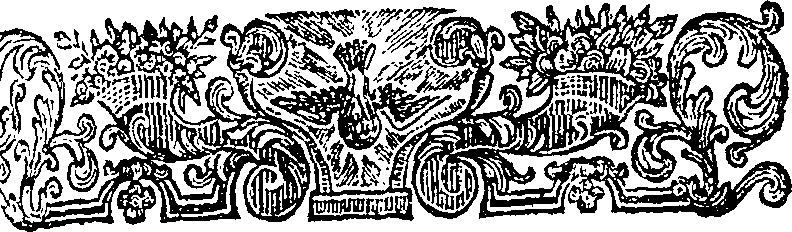 059/059900010802190_2.png