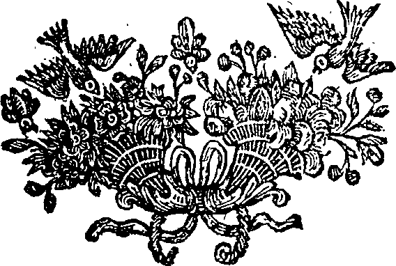 059/059900010803860_0.png