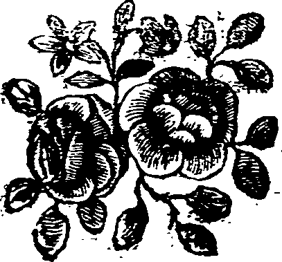 059/059920050000110_0.png