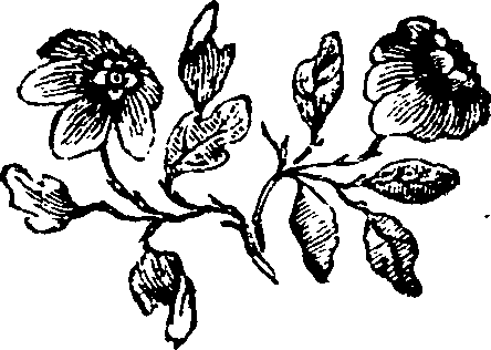 059/059920050001810_0.png