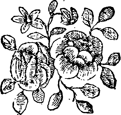 059/059920050002030_0.png