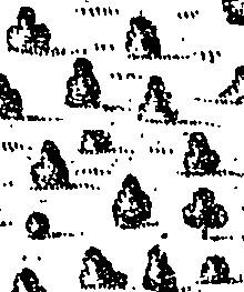 059/059960020003110_0.png
