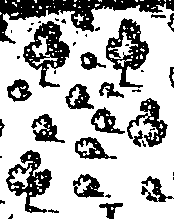 059/059960020003120_0.png