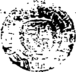 059/059990030203480_0.png