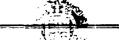 060/060020040000080_0.png