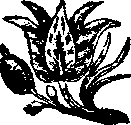 060/060060010000010_0.png