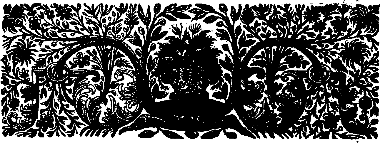 060/060060050000020_1.png