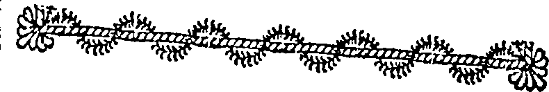 060/060090100000260_0.png