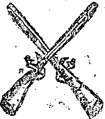060/060100080000240_0.png
