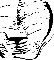 060/060110110101450_0.png