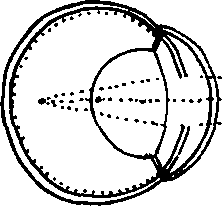 060/060140020204370_0.png