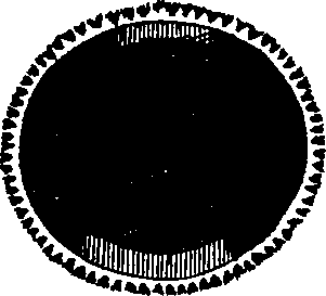 060/060140020300890_0.png