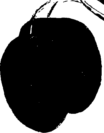 060/060140080000150_1.png